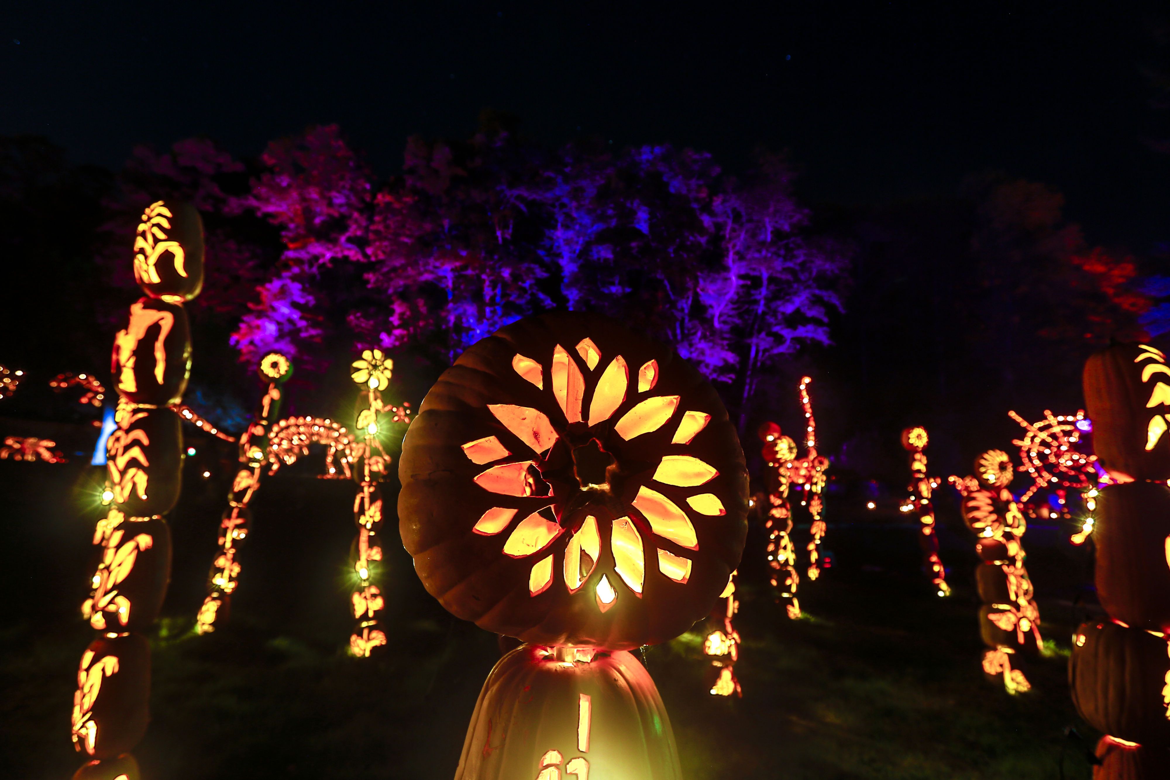 jacko lantern festival jacko lantern festival