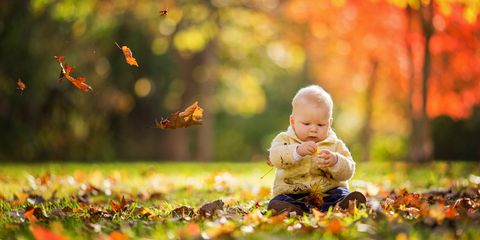Human, Invertebrate, Insect, Leaf, People in nature, Pollinator, Arthropod, Child, Baby & toddler clothing, Butterfly, 