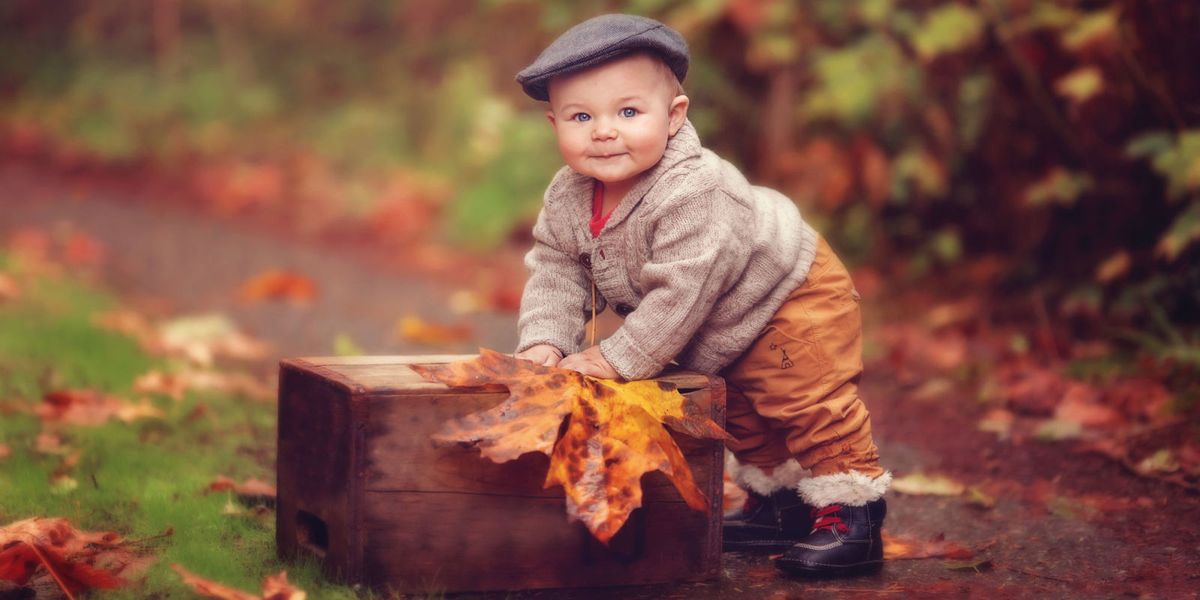 Leaf, People in nature, Baby & toddler clothing, Toddler, Autumn, Deciduous, Child model, Boot, Portrait photography, Stock photography, 