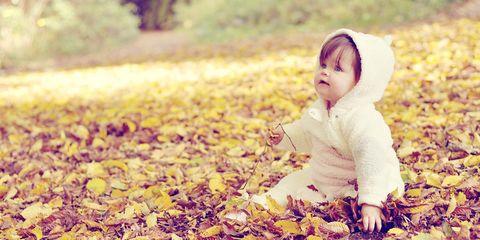 Cheek, Leaf, Happy, People in nature, Child, Baby & toddler clothing, Deciduous, Autumn, Toddler, Baby, 