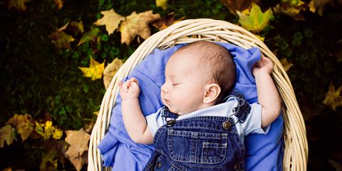 Blue, Child, People in nature, Baby & toddler clothing, Comfort, Toddler, Baby Products, Baby, Deciduous, Autumn, 