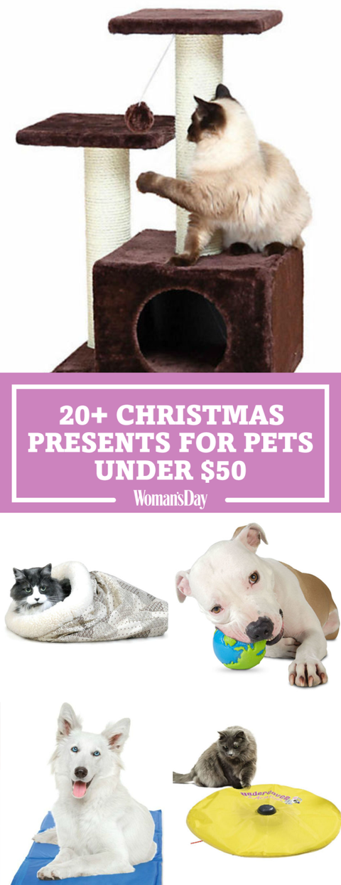 33 Best Dog and Cat Gifts - Best Christmas Pet Gift Ideas