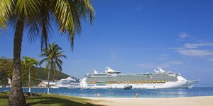 Cruise ship, Natural environment, Passenger ship, Arecales, Horizon, Ocean, Naval architecture, Liquid, Aqua, Watercraft, 