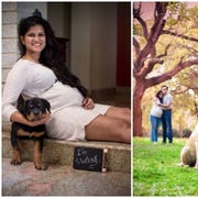 Human, Dog breed, Dog, Mammal, Photograph, Carnivore, Interaction, People in nature, Collar, Companion dog, Human, Dog breed, Dog, Mammal, Photograph, Carnivore, Interaction, People in nature, Collar, Companion dog,