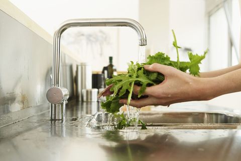 Tap, Kitchen, Hand, Countertop, Room, Vegetable, Sink, Plant, Herb, Leaf vegetable, 