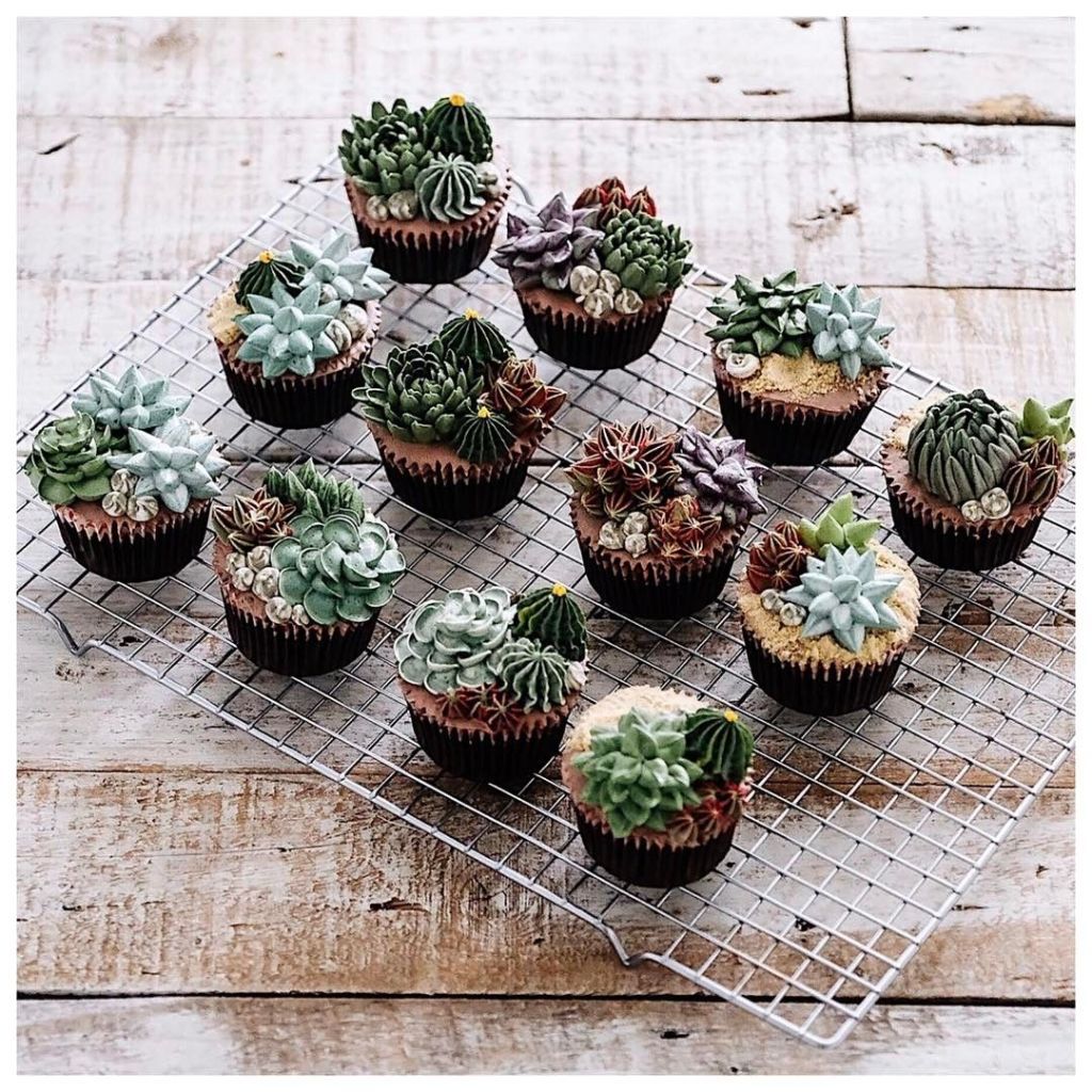 Cactus, Flowerpot, Houseplant, Plant, Succulent plant, Flower, Hedgehog cactus, Caryophyllales, Cupcake, Food, 