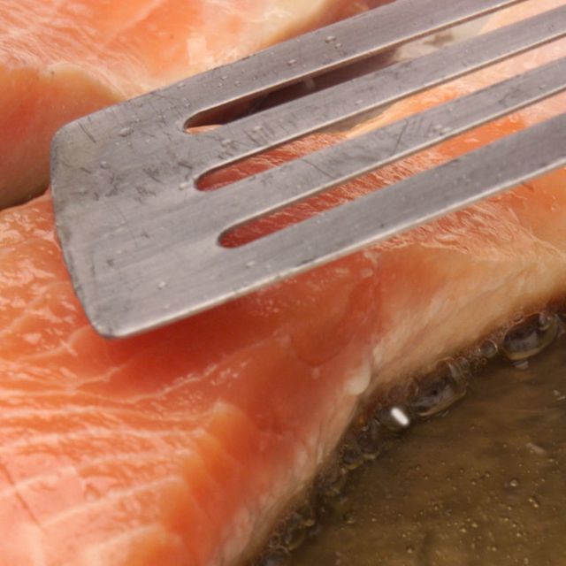 white stuff oozing from cooking salmon is albumin