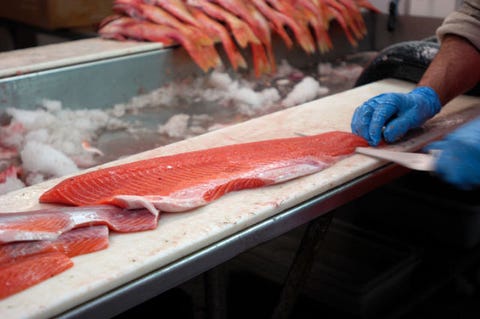 wild caught salmon is better than organic wild caught salmon is better than organic