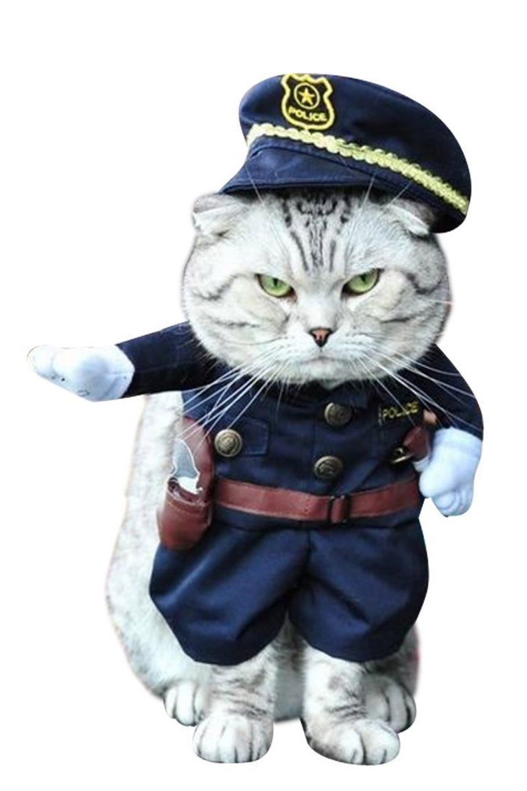 30 Pet Cat Halloween Costumes 2017 - Cute Ideas for Cat Costumes