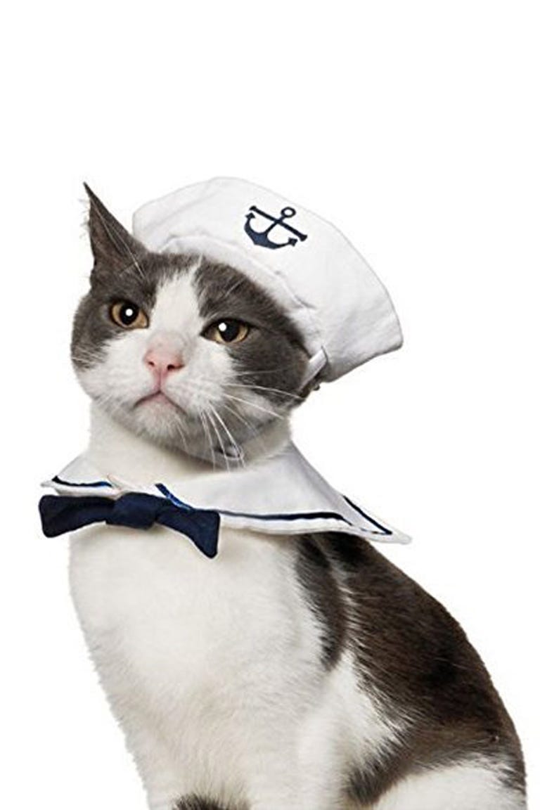 30 Pet Cat Halloween Costumes 2017 Cute Ideas for Cat Costumes