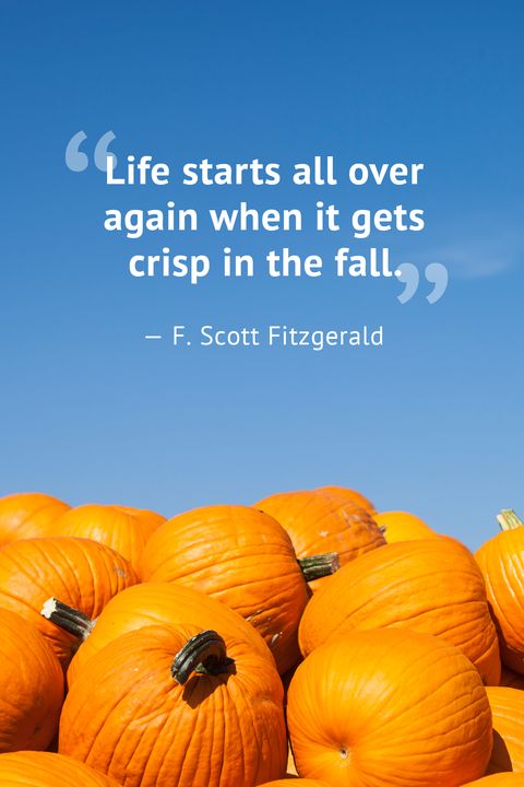 10 Beautiful Fall Quotes - Best Sayings About Autumn