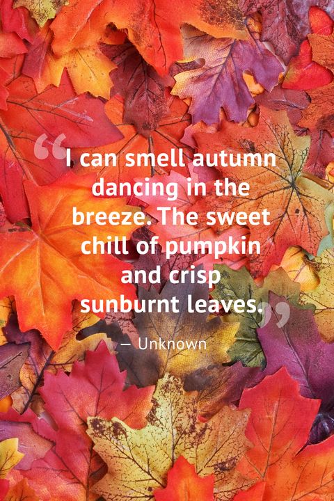 short autumn quotes