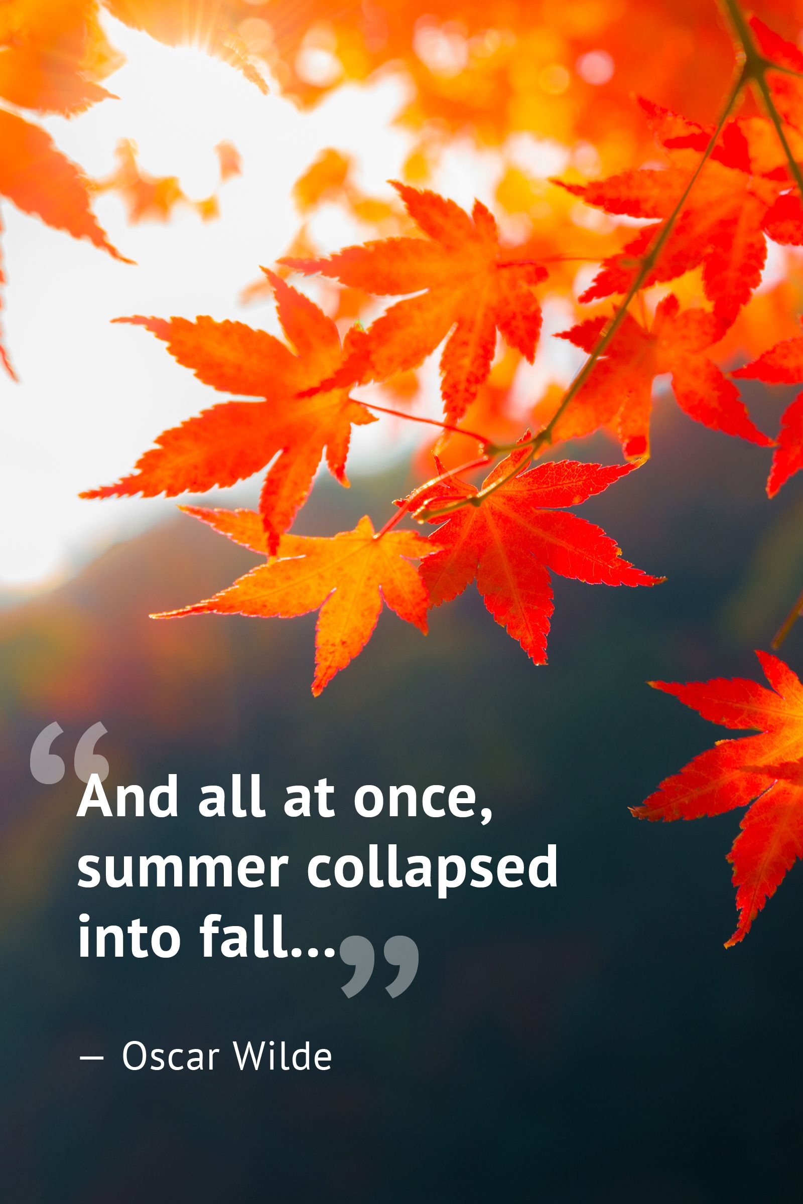 friends autumn quotes