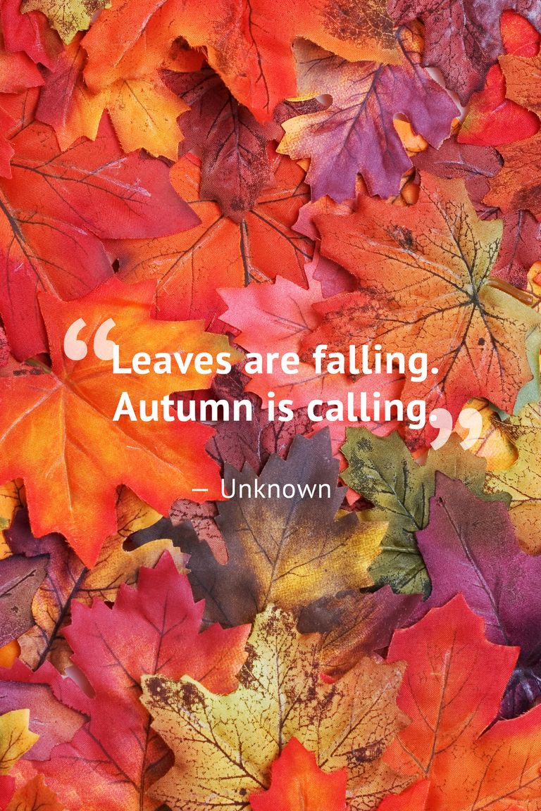 10 Beautiful Fall Quotes - Best Sayings About Autumn