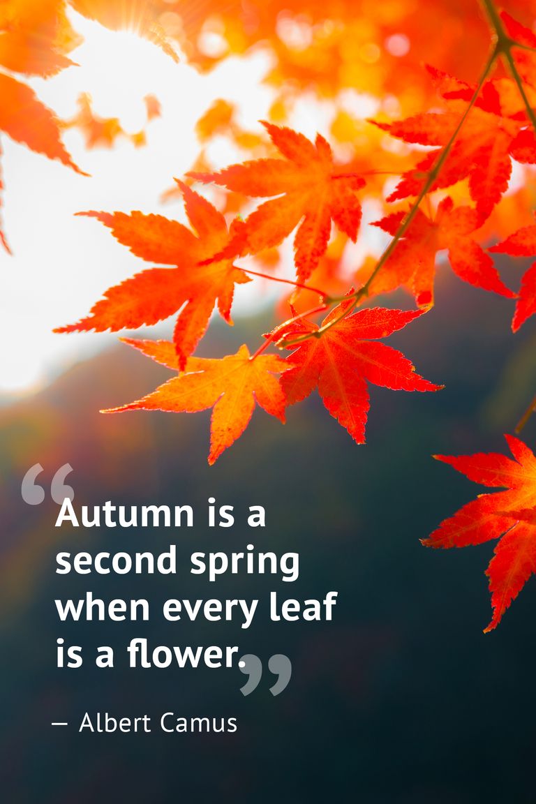 10-beautiful-fall-quotes-best-sayings-about-autumn