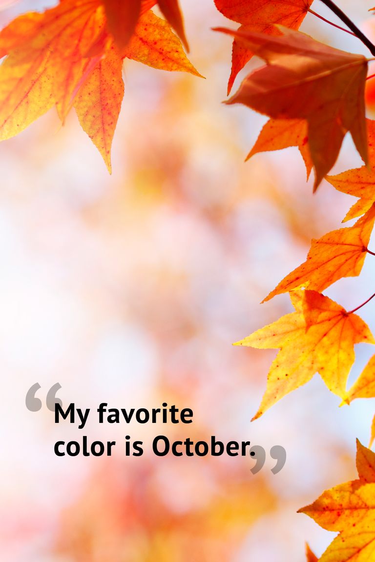 10 Beautiful Fall Quotes - Best Sayings About Autumn