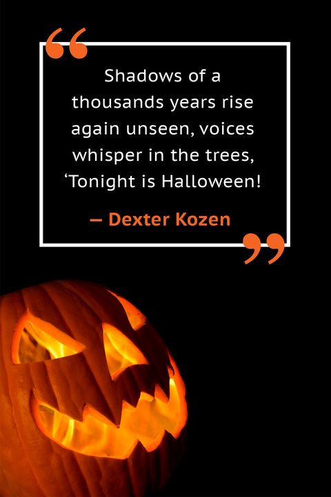 20 Happy Halloween Quotes - Best Halloween Sayings