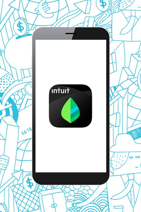 mint money-saving app