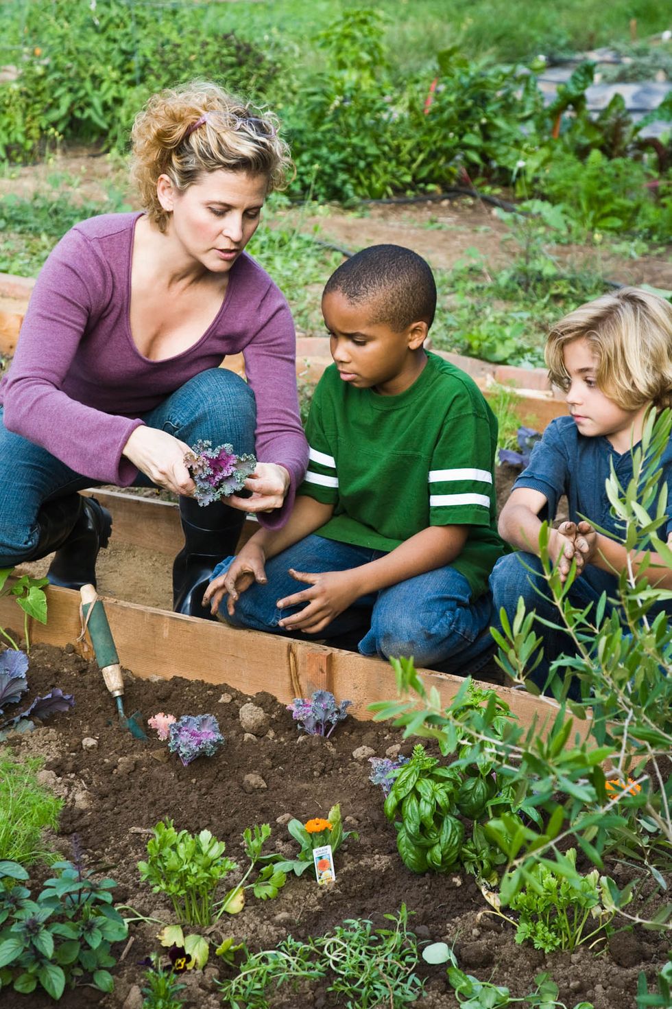 AMAZING GRASS PARTNERS WITH JENNA BUSH HAGER TO CHALLENGE AMERICANS TO GET  YOUR GREENS