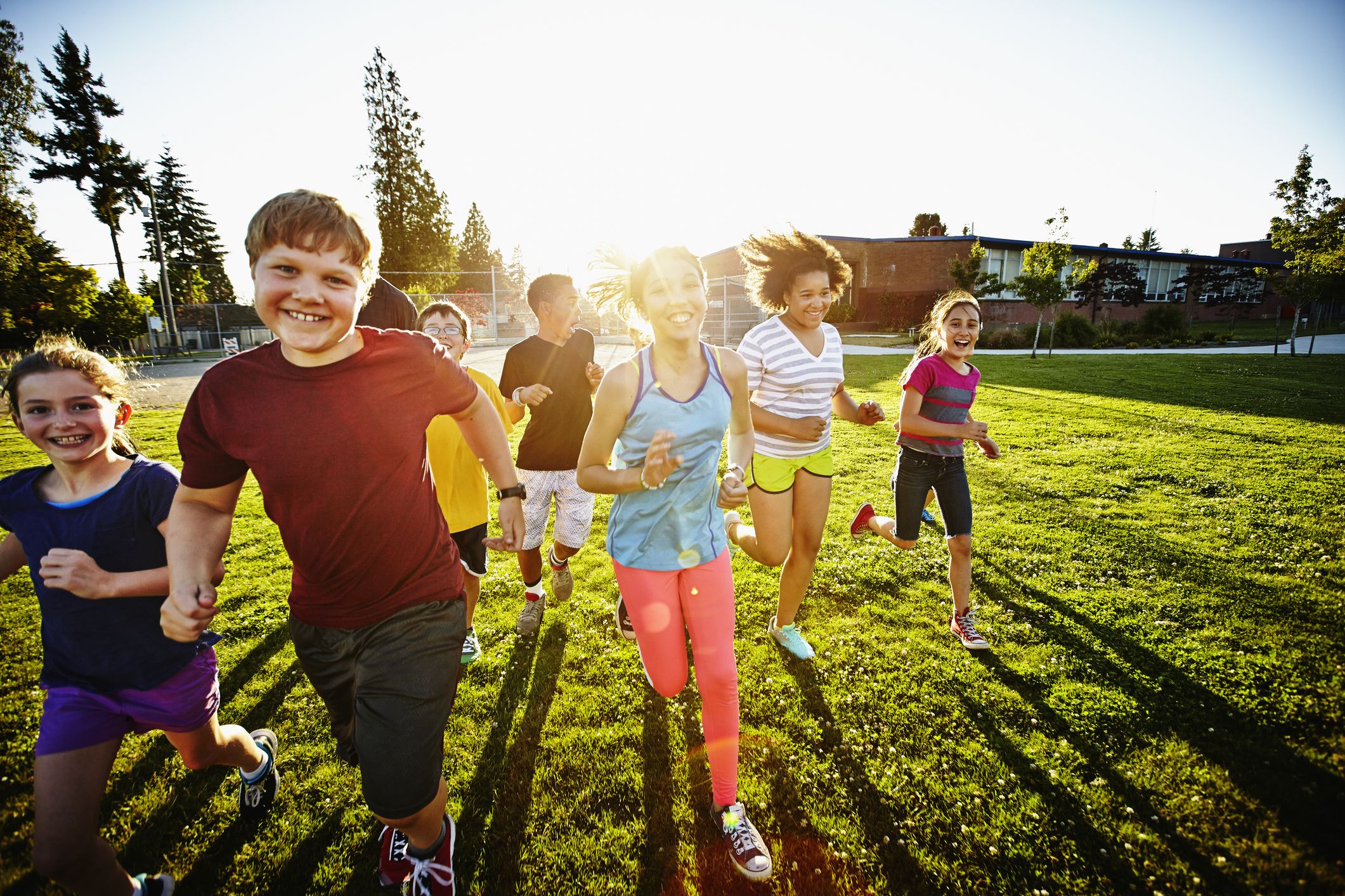 2019 year - 9 Strategies Americas Healthiest Schools Practice 2019 year