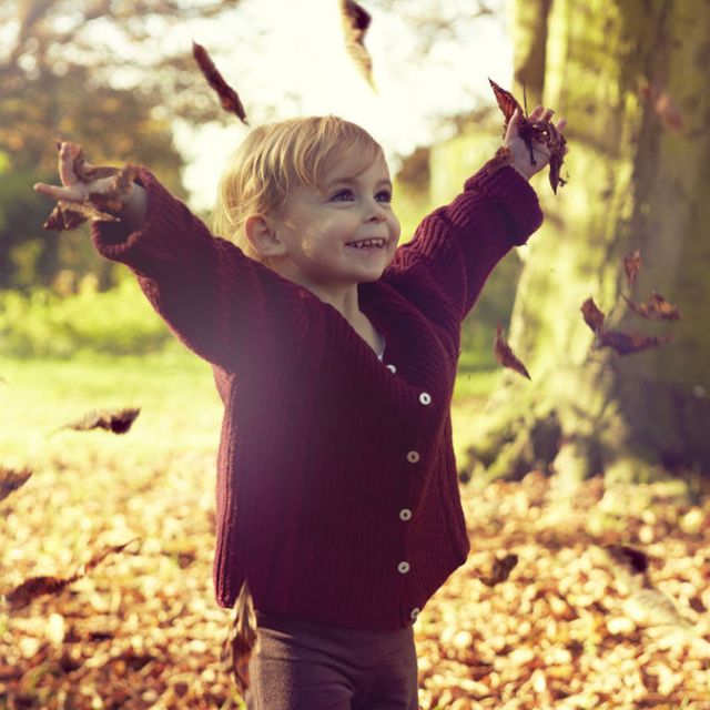 People in nature, Leaf, Tree, Autumn, Branch, Woodland, Happy, Child, Sunlight, Forest, 