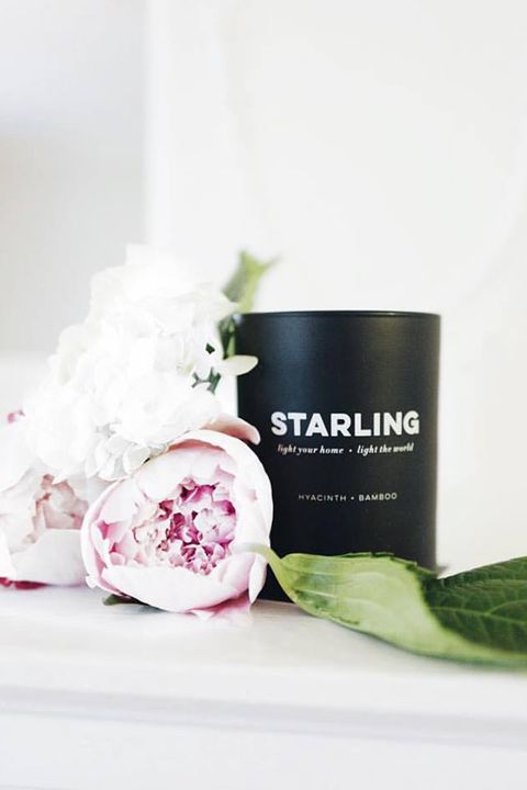 Gifts That Give Back Starling Candle