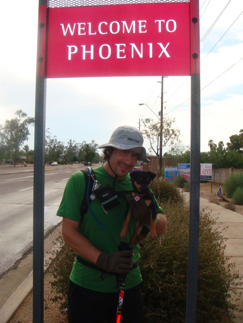 Signage, Sign, Plant, Street sign, 