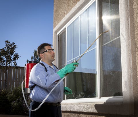 Pest Control Exterminators Tell Their Secrets At Womansday Image