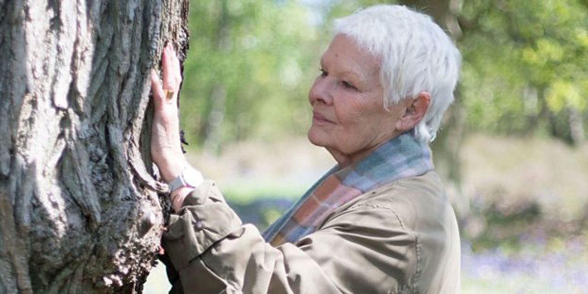 Judi Dench: My Passion For Trees