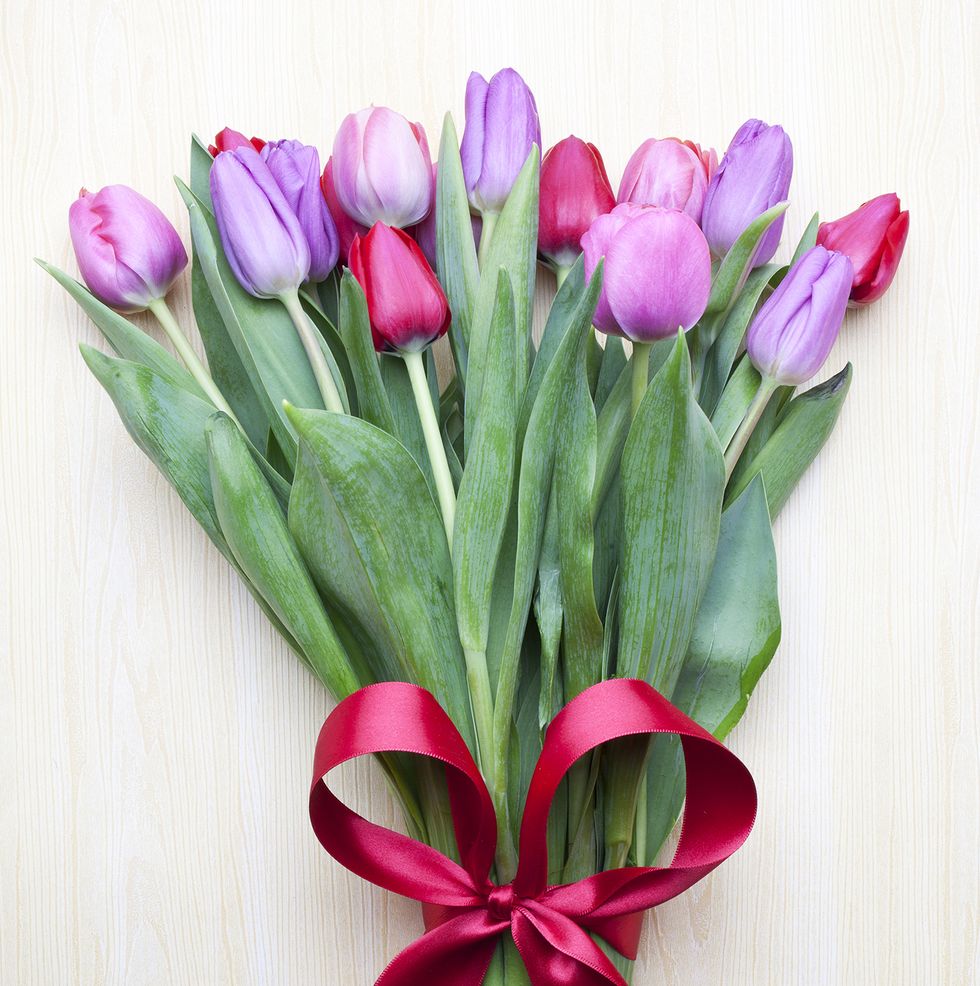 flower meanings tulips