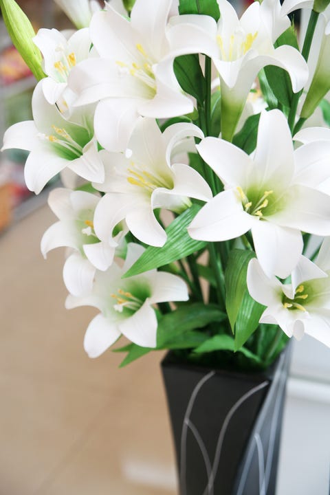 16 Romantic Flower Meanings Symbolism Of Different Kinds Of Flowers Woman S Day