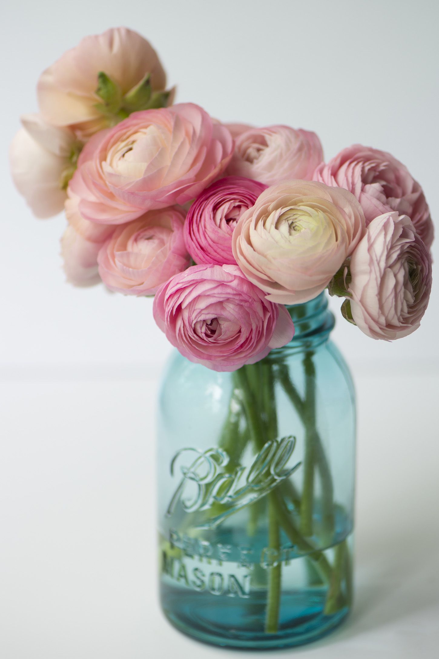 best type of flowers for girlfriend