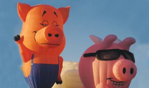 Animation, Animated cartoon, Cartoon, Suidae, Domestic pig, Inflatable, 