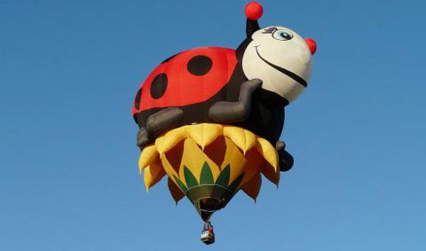 Daytime, Invertebrate, Insect, Arthropod, Carmine, Ladybug, Hot air ballooning, Hot air balloon, Air sports, Holiday, 