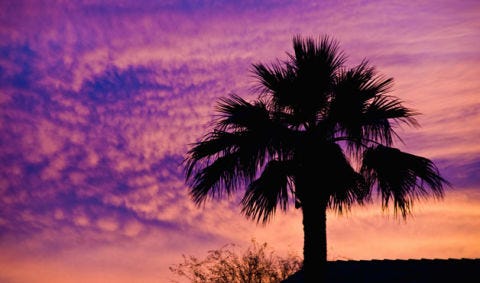 Sky, Cloud, Dusk, Tree, Atmosphere, Evening, Purple, Woody plant, Afterglow, Sunset, Sky, Cloud, Dusk, Tree, Atmosphere, Evening, Purple, Woody plant, Afterglow, Sunset,