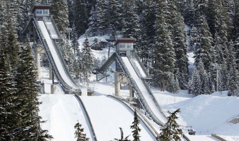 Winter, Freezing, Slope, Snow, Geological phenomenon, Evergreen, Chute, Precipitation, Conifer, Fir, 