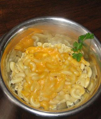 cooking for your dog moms mac and cheese