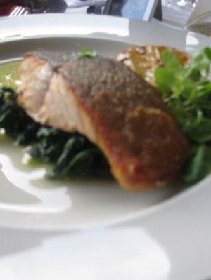 cooking for your dog poached salmon on a bed of spinach