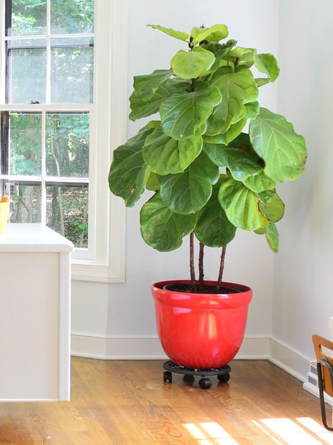 Make your room feel bigger