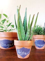 Pot Labels Pot Labels
