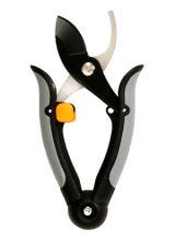 Pioneering Pruner Pruner