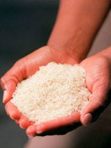 Give your vocabulary a boost--and help feed the hungry