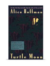 turtle moon by alice hoffman turtle moon by alice hoffman