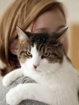 Stray-tegize image