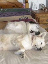 Sunday Siesta image