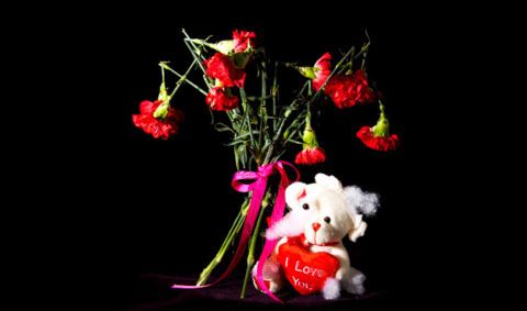 Toy, Red, Stuffed toy, Teddy bear, Carmine, Magenta, Plush, Still life photography, Baby toys, Flower Arranging, 