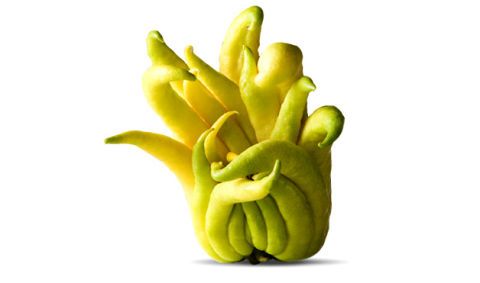 Yellow, Still life photography, Thumb, Produce, Toy, Gesture, 