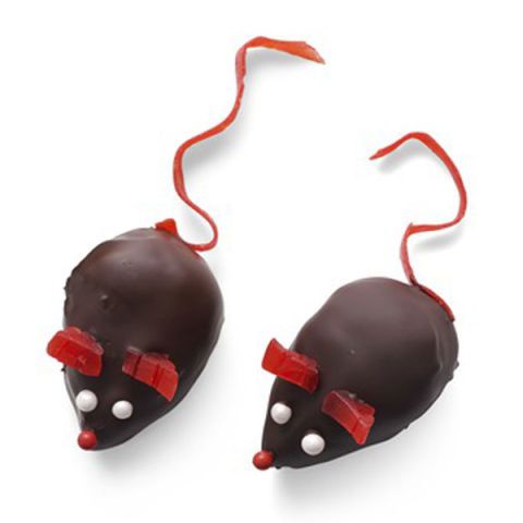 chocolate mice