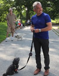 stop leash pulling cesar millan