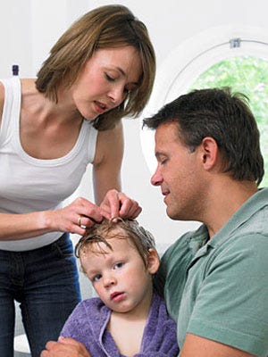 Head Lice Information How To Get Rid Of Head Lice At Womansday Com